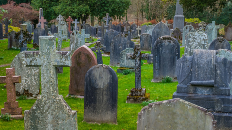 Funeral Home Due Diligence : StockMarket